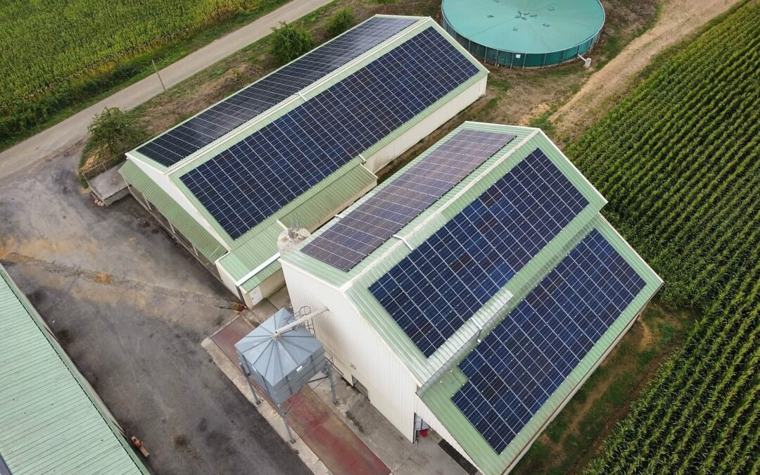 Quand l’agriculture rencontre l’énergie solaire : un partenariat gagnant